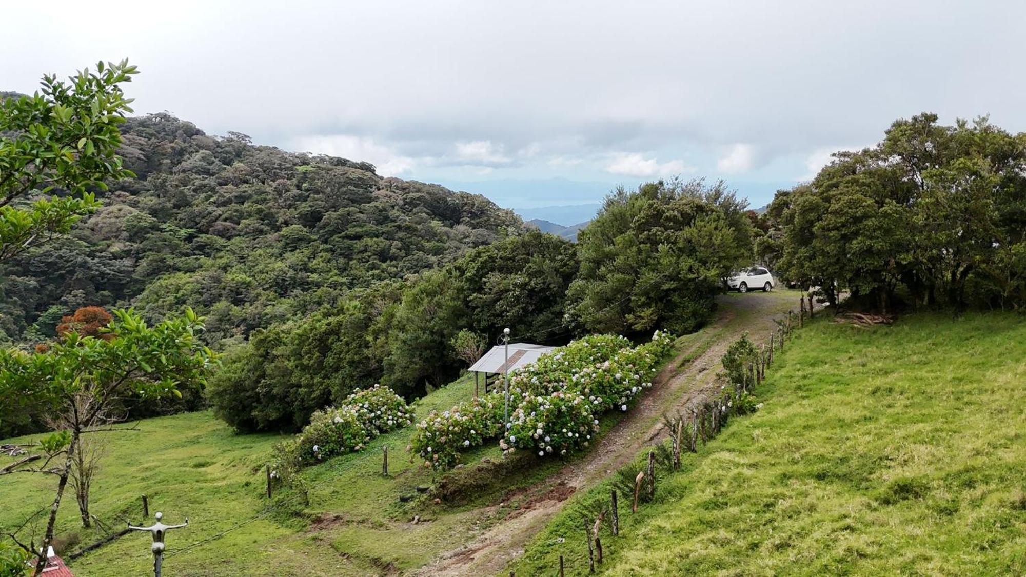 Dadirri House Minicasa Santa Elena Monteverde Exteriér fotografie